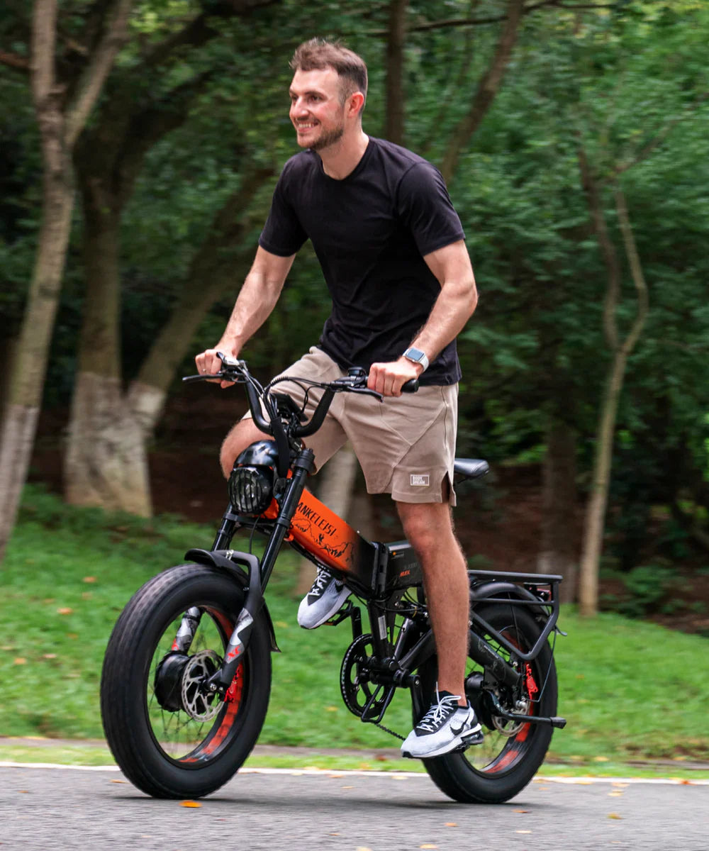 Dual Motor E-Bikes