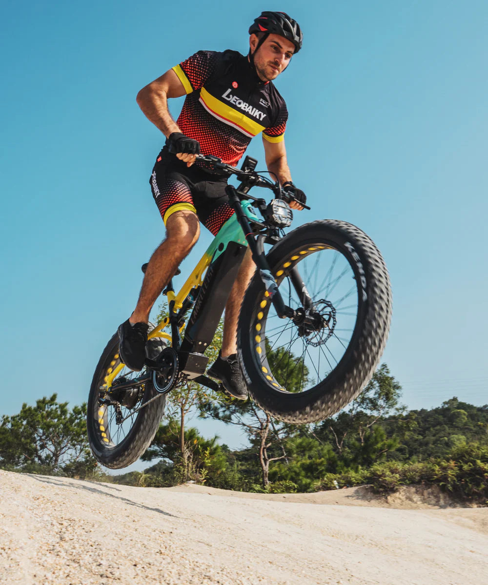 Mountain E-bikes