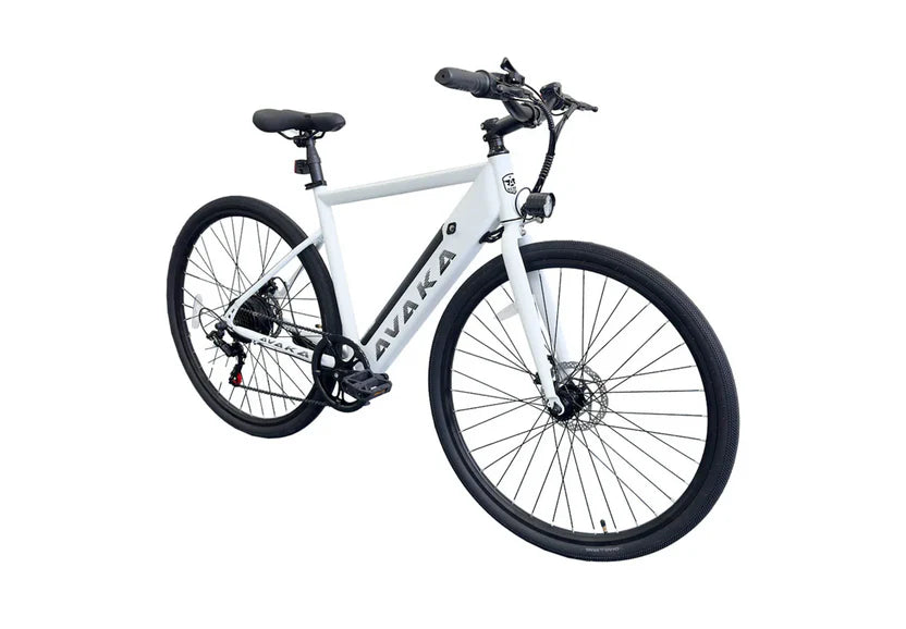 Rekmolt R1 250W electric city bike