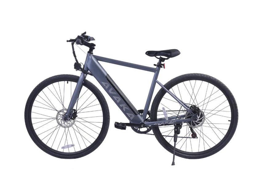 Rekmolt R1 250W electric city bike